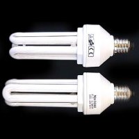 COMPACT ENERGY SAVING LAMPS UL/CUL/FCC GS/TUV/CE