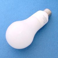 COMPACT ENERGY SAVING LAMPS (A-21) UL/CUL/FCC GS/TUV/CE